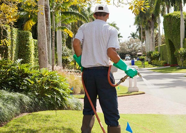 About Flom MN Pest Control